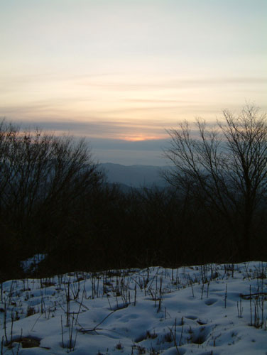 \2006NU