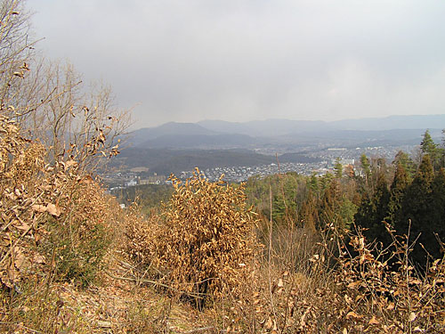 \2006N2