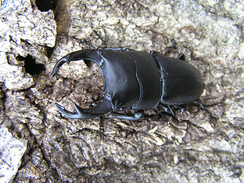 R060624